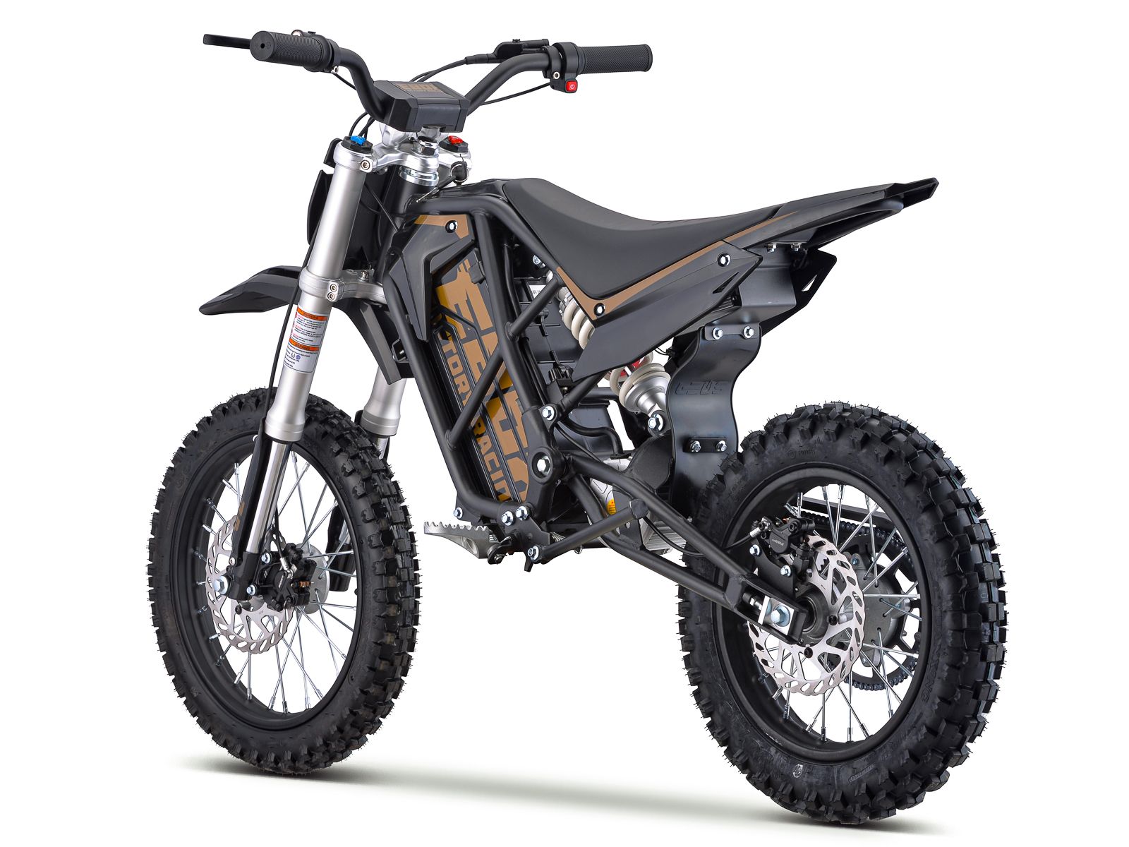 ebv2_black_6