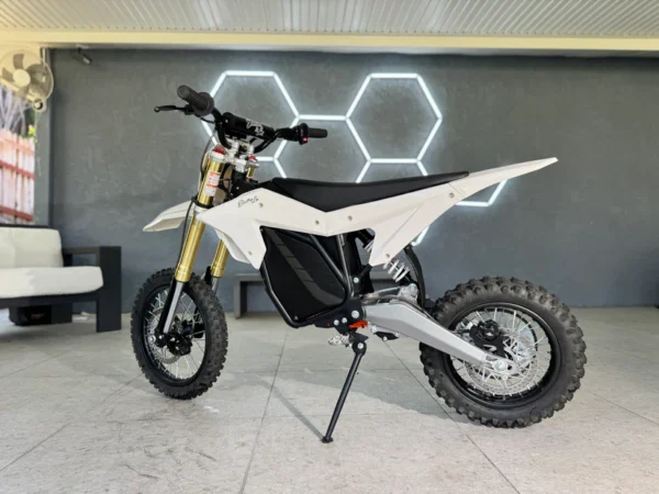 Ronster Riders RONSTER RIDES RTR LITE 60V - Special Addition - Penrith Pit Bikes
