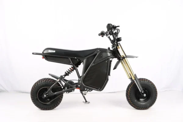 Ronster Ridzz RONSTER RIDES Electric & Co Rizzler 72V Sport - Just released⚡⚡⚡ETA MAY ...