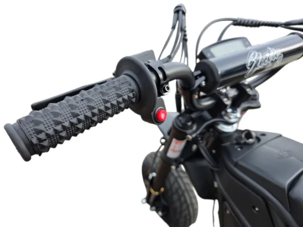 RONSTER RIDES Electric & Co Rizzler 72V Sport - Just released⚡⚡⚡ETA MAY ...